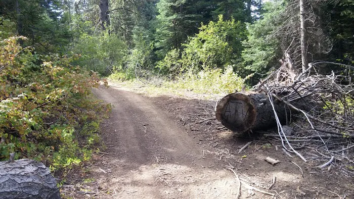 Cartwright Ridge Campground Picture 2