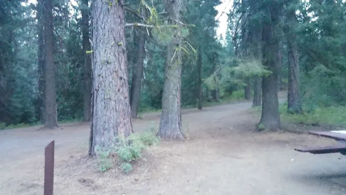 Cartwright Ridge Campground Picture 6