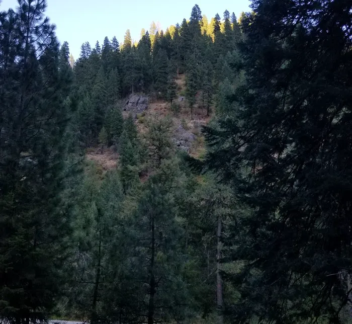 Ten Mile Campground Picture 6