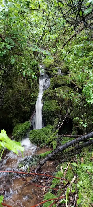 Ten Mile Campground Picture 4