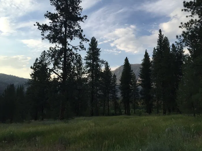 Riverside Campground Picture 8