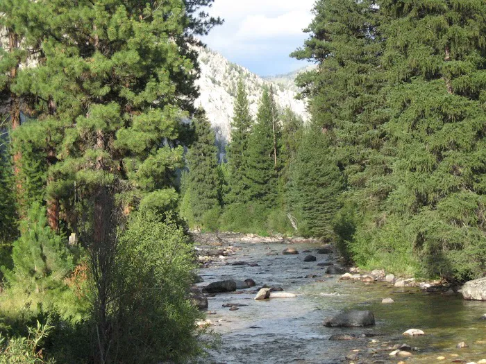 Riverside Campground Picture 7