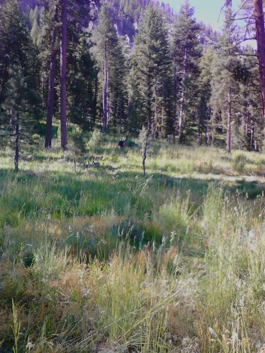 Power Plant Campground Picture 9
