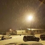 Corn Golden Acres Trailer Park