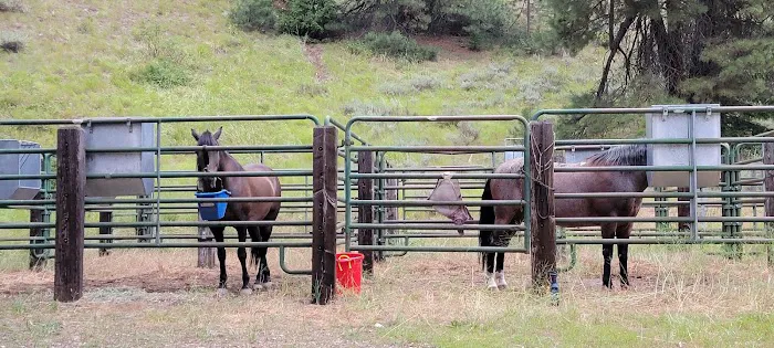 Willow Creek Transfer Camp Picture 1
