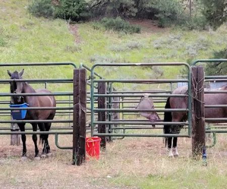 Willow Creek Transfer Camp