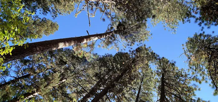 Bird Creek Campground Picture 4