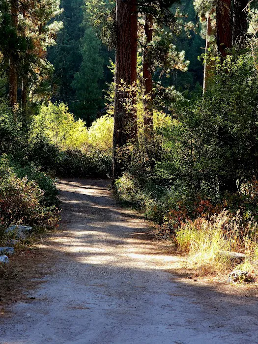 Bird Creek Campground Picture 1