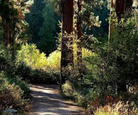 Bird Creek Campground