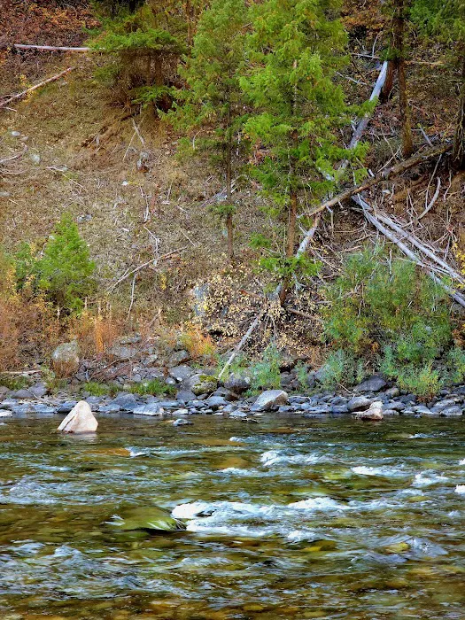 Bird Creek Campground Picture 7