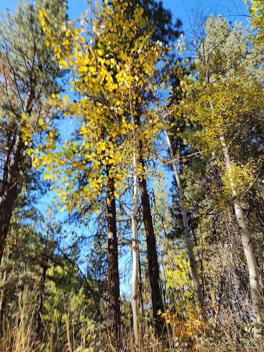 Bird Creek Campground Picture 2