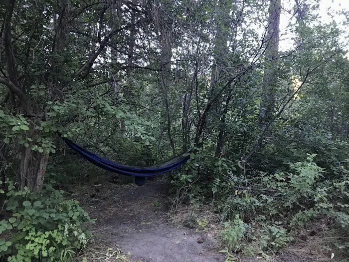 Bird Creek Campground Picture 5
