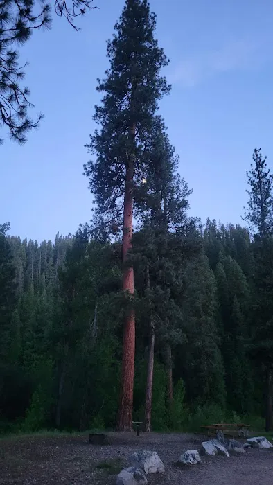 Chaparral Campground Picture 3