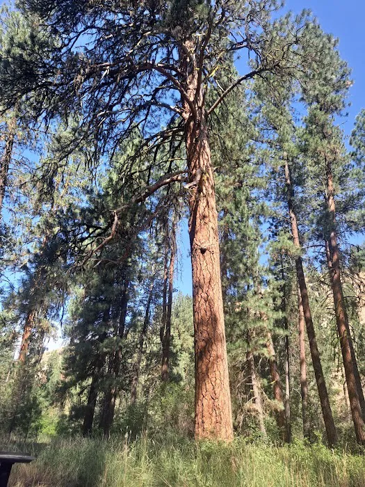 Abbot Campground Picture 5