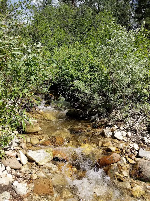 Abbot Campground Picture 7