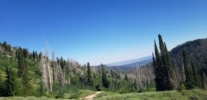 Baumgartner Campground Picture 4