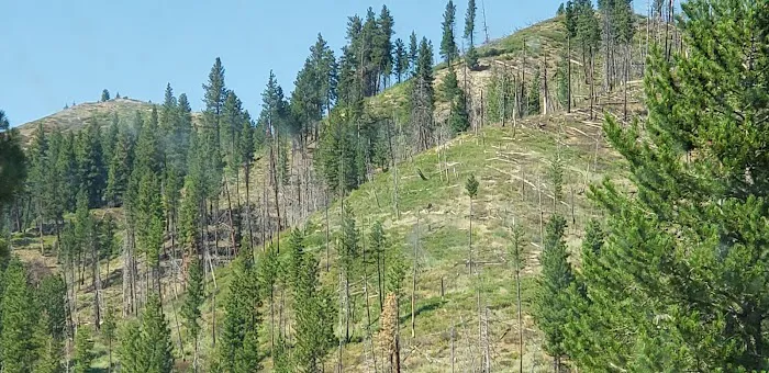 Baumgartner Campground Picture 1