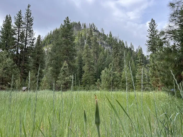 Baumgartner Campground Picture 7