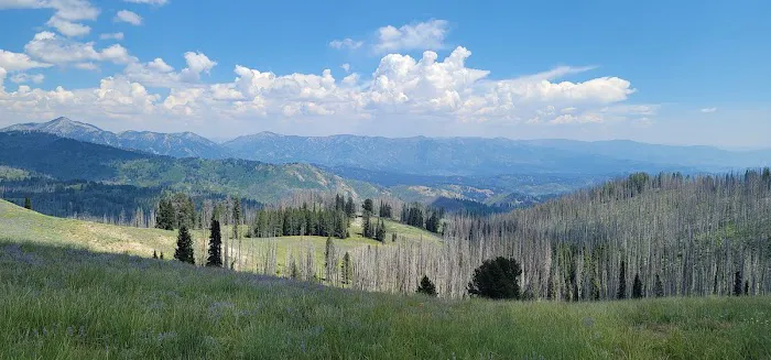 Little Trinity Lake Campground Picture 1