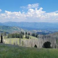 Little Trinity Lake Campground ico