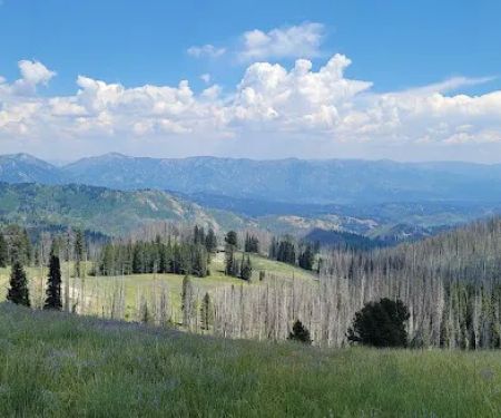 Little Trinity Lake Campground