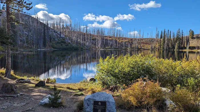 Little Trinity Lake Campground Picture 7