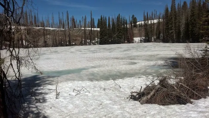 Little Trinity Lake Campground Picture 9