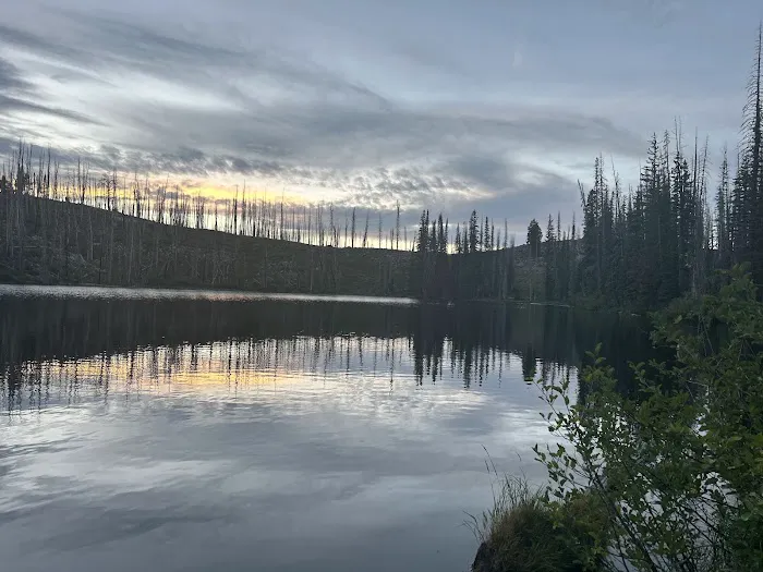 Little Trinity Lake Campground Picture 5