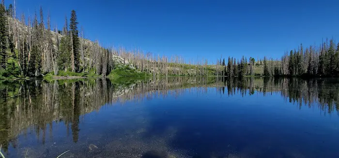 Little Trinity Lake Campground Picture 3