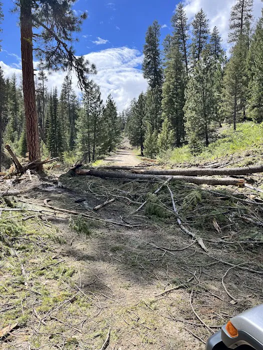 Little Trinity Lake Campground Picture 6
