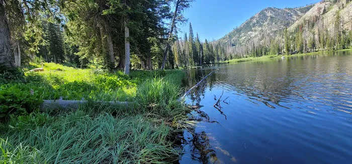 Little Trinity Lake Campground Picture 2