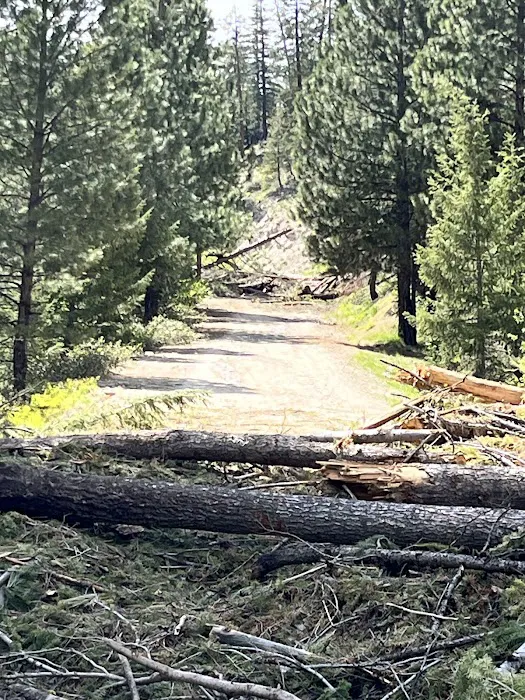 Little Trinity Lake Campground Picture 10