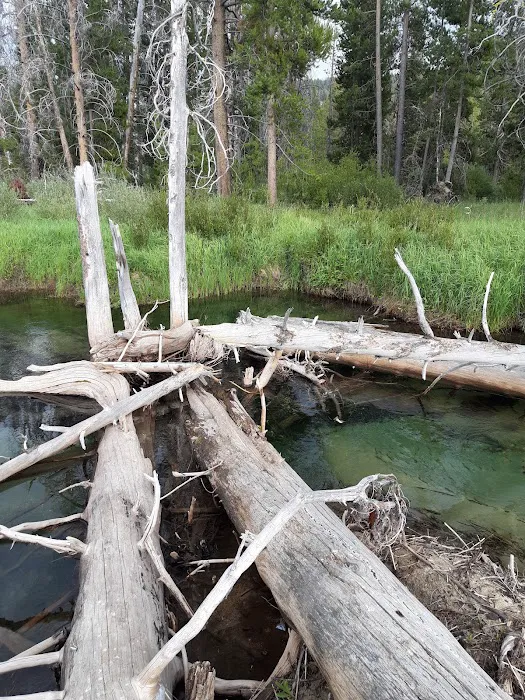 Alturas Inlet Campground Picture 7
