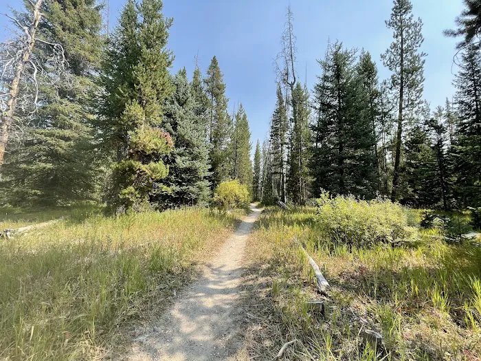 Alturas Inlet Campground Picture 6