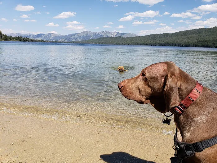 Alturas Inlet Campground Picture 10