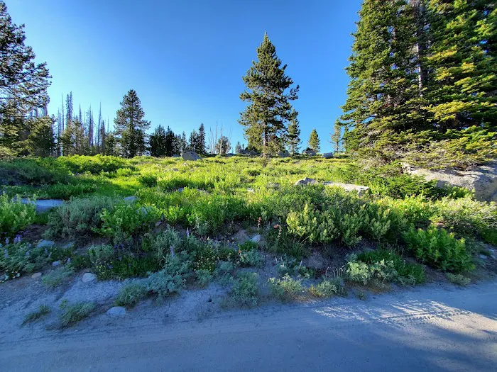 Big Trinity Lake Campground Picture 3