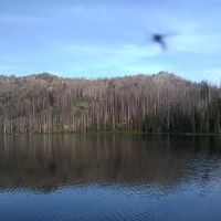 Big Trinity Lake Campground ico