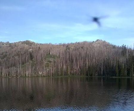 Big Trinity Lake Campground