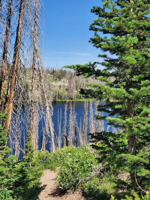 Big Trinity Lake Campground Picture 4