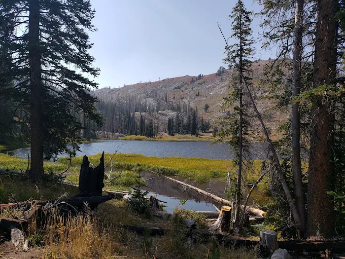 Little Roaring River Lake Campground Picture 1