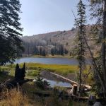 Little Roaring River Lake Campground