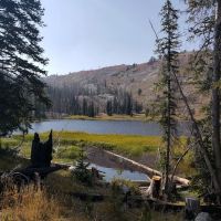 Little Roaring River Lake Campground ico