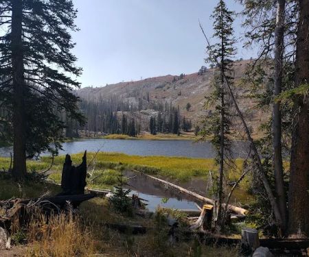 Little Roaring River Lake Campground