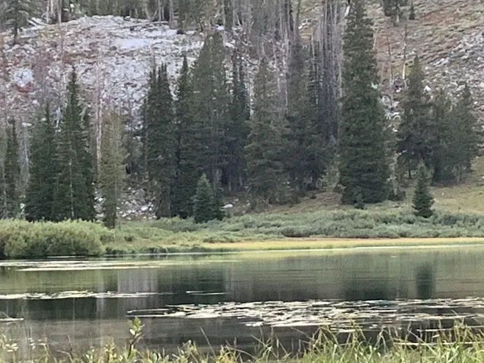Little Roaring River Lake Campground Picture 3