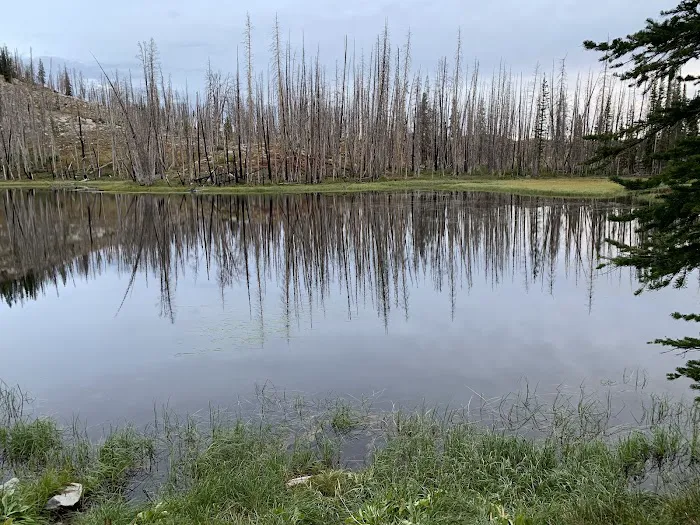 Little Roaring River Lake Campground Picture 5