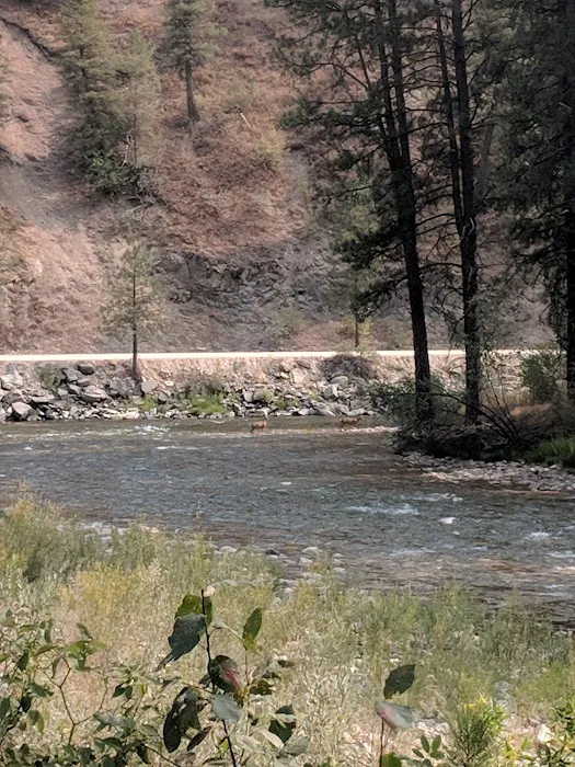 Troutdale Campground Picture 2