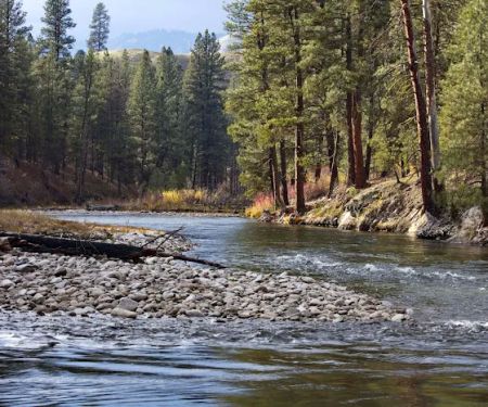 Troutdale Campground
