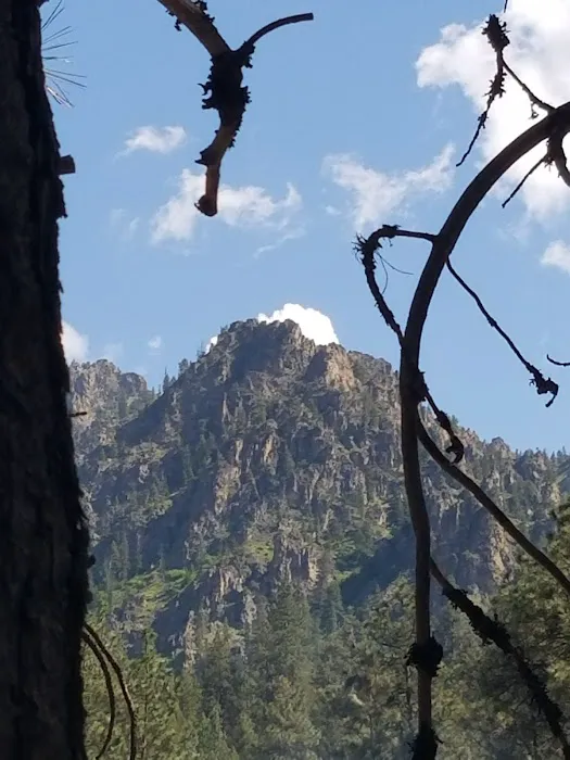 Troutdale Campground Picture 4