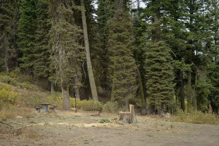 Bald Mountain Campground Picture 1