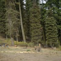 Bald Mountain Campground ico